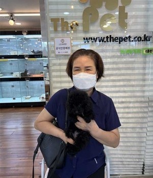 푸들 분양후기 [22.8.21]