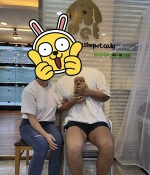 말티푸 분양후기 [22.7.16]