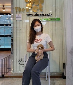 말티푸 분양후기[22.7.3]