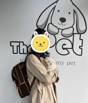 말티푸 분양후기/중리점 [22.10.1]