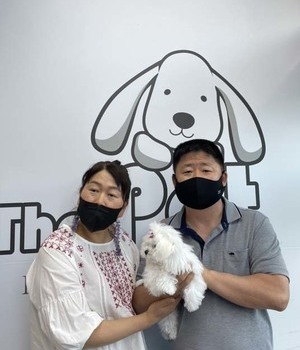 말티숑 분양후기/중리점[22.5.26]