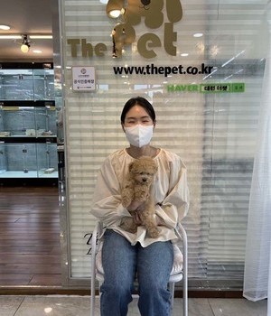 말티푸 분양후기 [22.7.25]