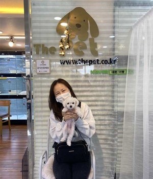 비숑프리제 분양후기 [22.10.29]