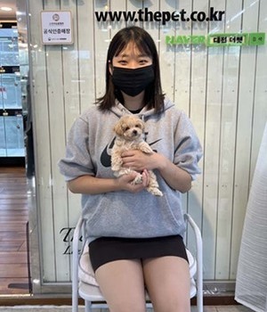 푸들 분양후기[22.6.28]