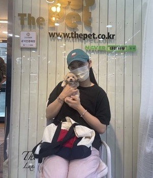 말티푸 분양후기[22.7.2]