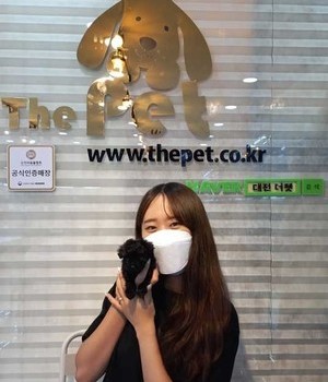 푸들 분양후기 [22.9.11]