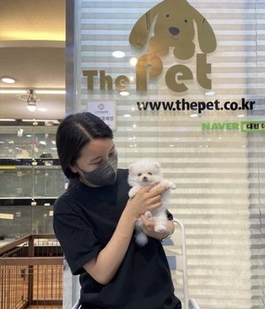 포메라니안 분양후기 [22.7.17]
