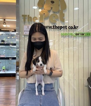 비글 분양후기[22.5.25]