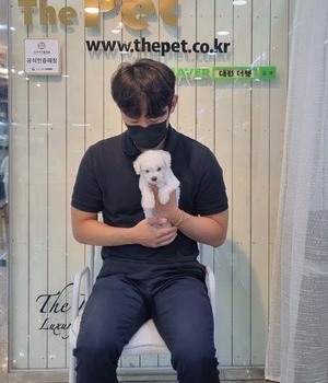 비숑프리제 분양후기[22.7.13]