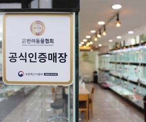 더펫 매장 사진