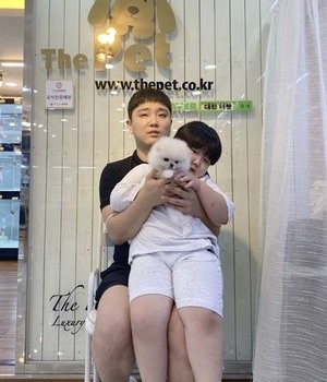 포메라니안 분양후기[22.7.13]