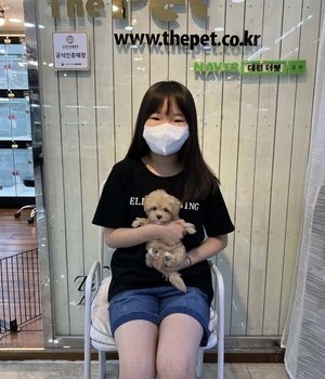 말티푸 분양후기[22.6.25]