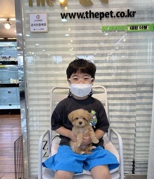 말티푸 분양후기 [22.8.26]