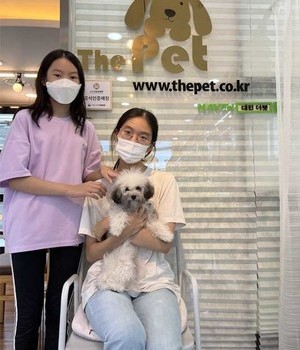 푸들 분양후기 [22.8.28]