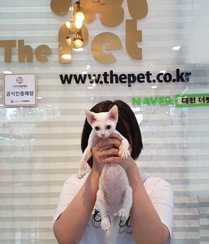 데본렉스 분양후기 [22.8.15]