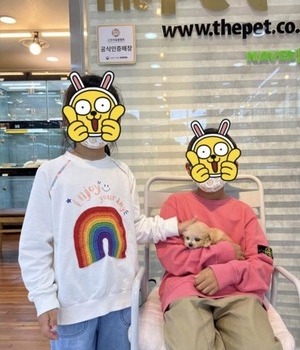 푸들 분양후기 [22.10.8]