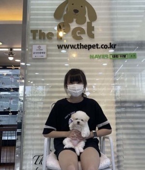비숑프리제 분양후기 [22.7.19]