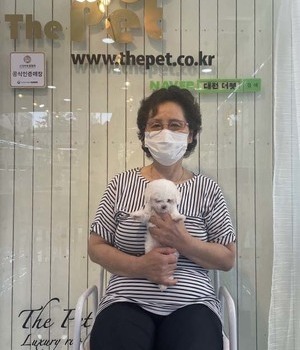 푸들 분양후기[22.6.22]