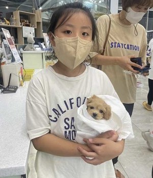 말티푸 분양후기 [22.9.19]