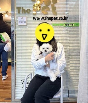 푸숑 분양후기 [22.11.6]