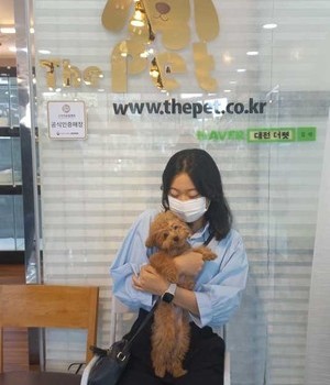 푸들 분양후기 [22.9.18]