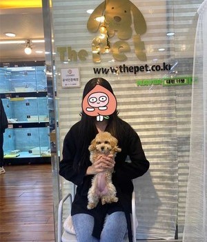 말티푸 분양후기 [22.11.6]