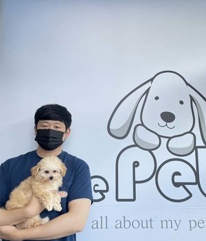 말티푸 분양후기/중리점[22.7.2]
