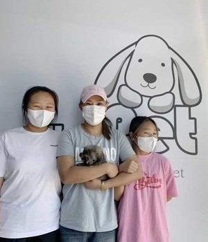 푸들 분양후기/중리점 [22.9.25]