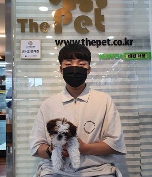 시츄 분양후기 [22.8.21]
