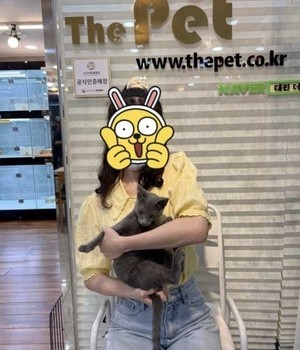 러시안블루 분양후기 [22.8.26]