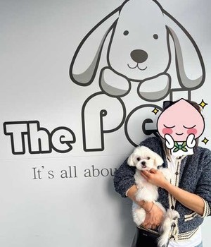 말티즈 분양후기/중리점  [22.11.1]