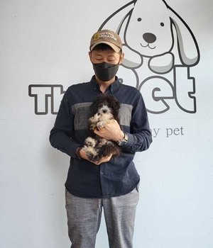 푸들 분양후기/중리점 [22.9.29]