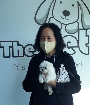 말티즈 분양후기/중리점 [22.10.27]
