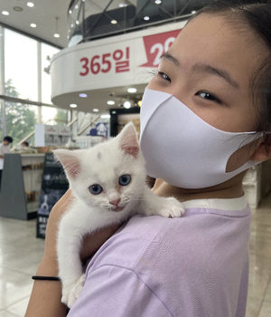 브리티쉬숏헤어 분양후기 [23.07.30]