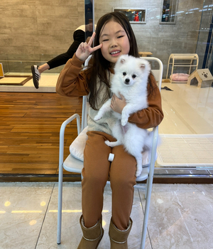 포메라니앙 분양후기 [23.11.26]
