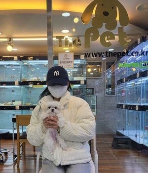 말티즈 분양후기 [23.03.06]