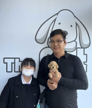 푸들 분양후기/중리점 [23.02.26]