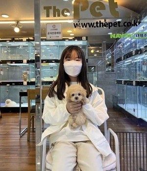 푸들 분양후기 [23.04.02]