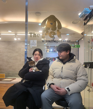 시바이누 분양후기 [23.11.28]
