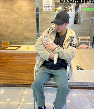 브리티쉬숏헤어 분양후기 [23.11.26]
