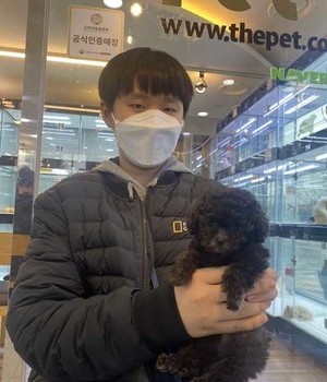 푸들 분양후기 [23.03.12]
