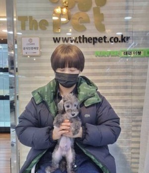 베들링턴테리어 분양후기 [23.01.27]