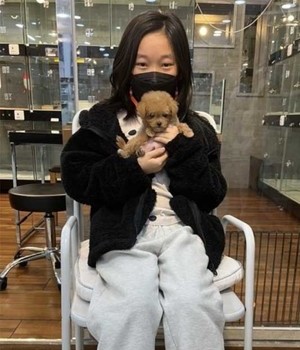 말티푸 분양후기 [23.04.01]