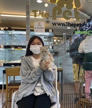 브리티쉬숏헤어 분양후기 [23.03.25]