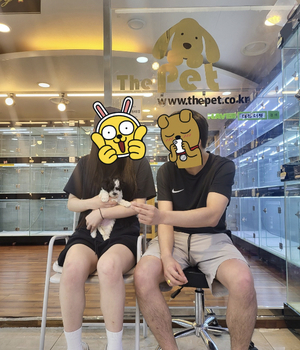 말티푸 분양후기 [23.07.21]