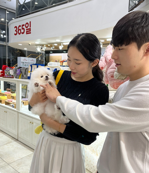 포메라니안 분양후기 [23.11.03]