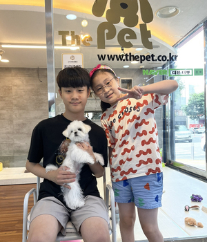 말티즈 분양후기 [23.08.19]