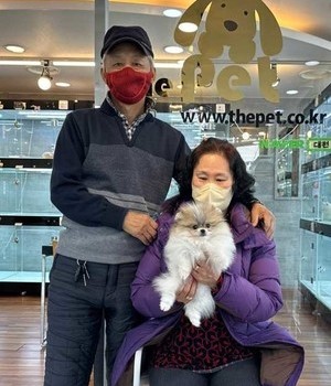 포메라니안 분양후기 [23.02.07]