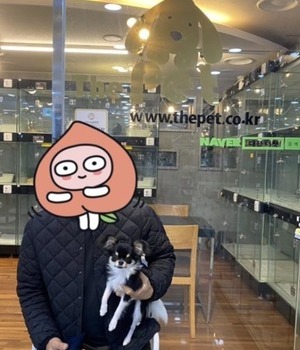 치와와 분양후기 [23.04.24]