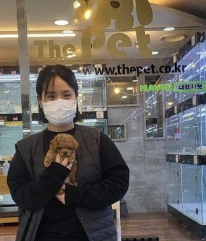 푸들 분양후기 [23.02.24]